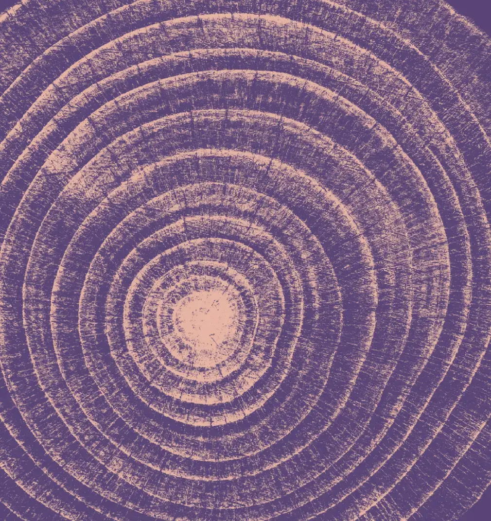 Localisation Efforts in the Development, Human Rights, and Humanitarian Fields: A Case Study of Lebanon